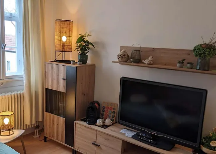 Quartier Goldener Loewe Bed & Breakfast 3*